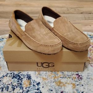 Men's UGG slippers